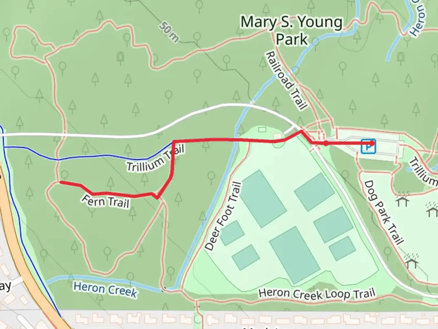 An image depicting the trail Fern Trail and its surrounding area.