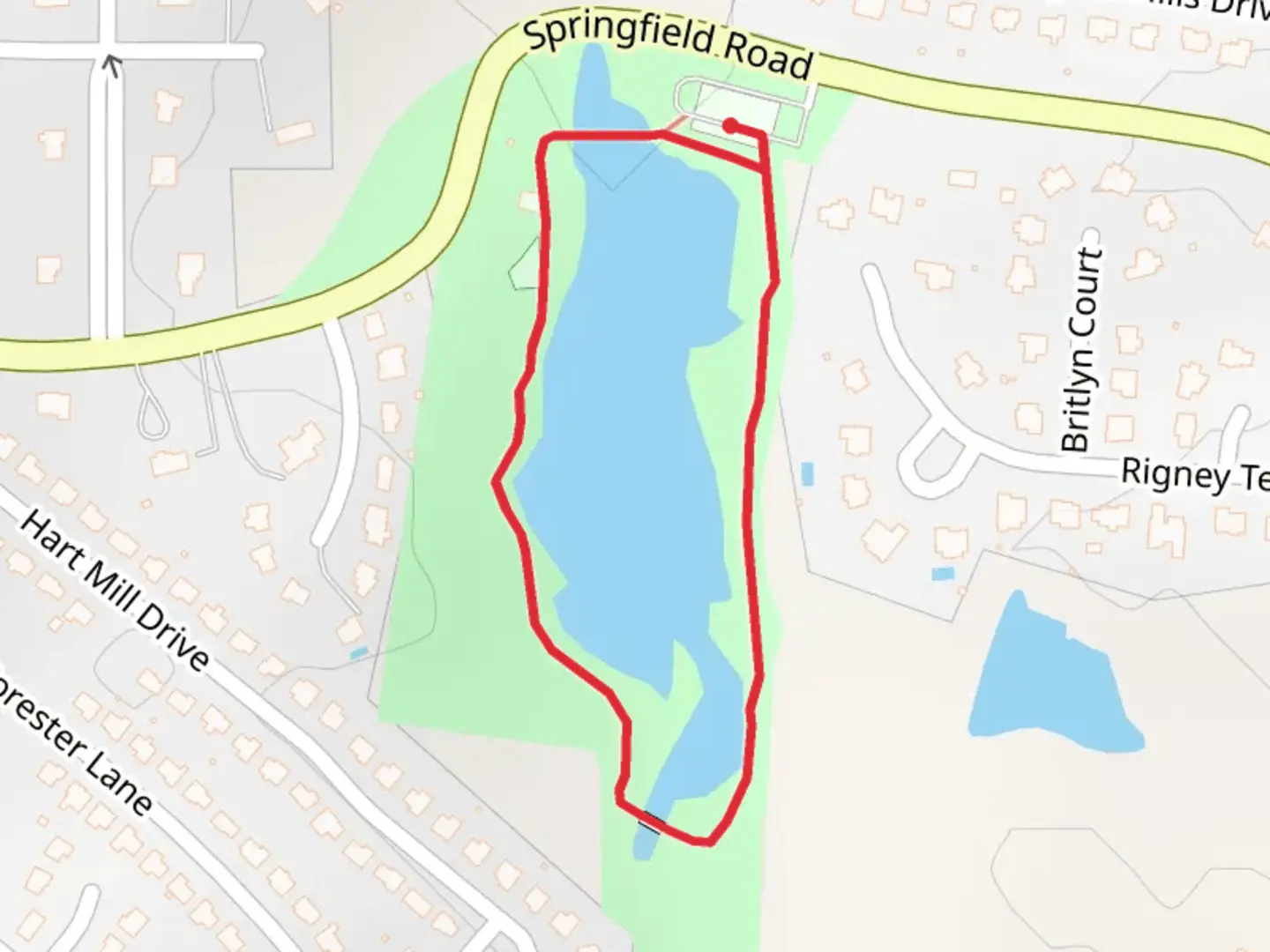 An image depicting the trail Springfield Road Loop and its surrounding area.