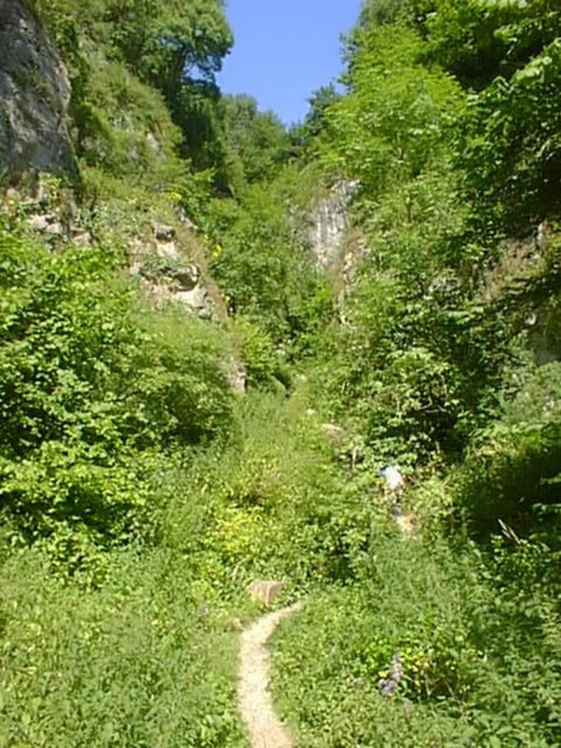 An image depicting the trail Ebbor Gorge Viewpoint Loop - Wookey Hole and its surrounding area.
