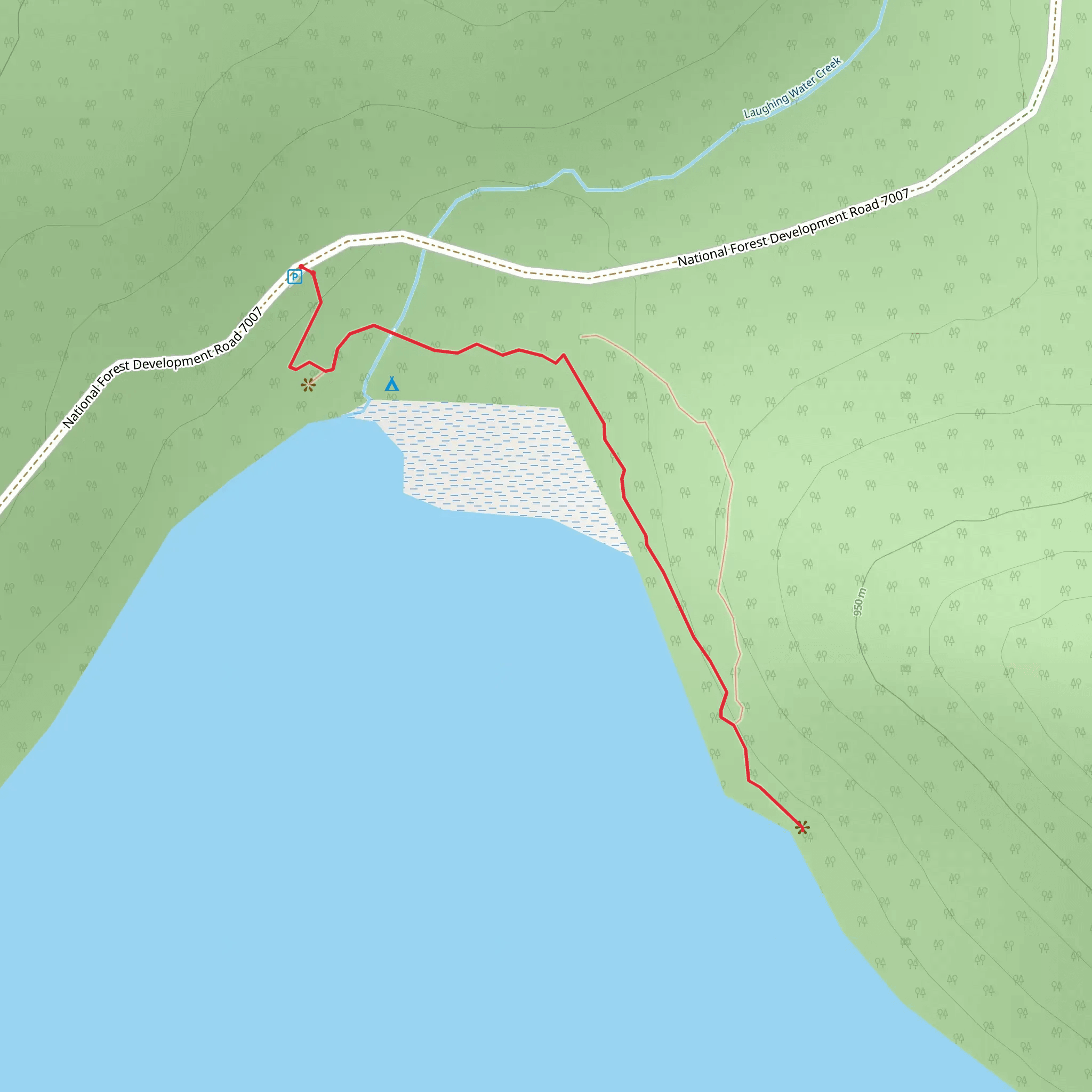 National Forest Development Road 7007 mobile static map