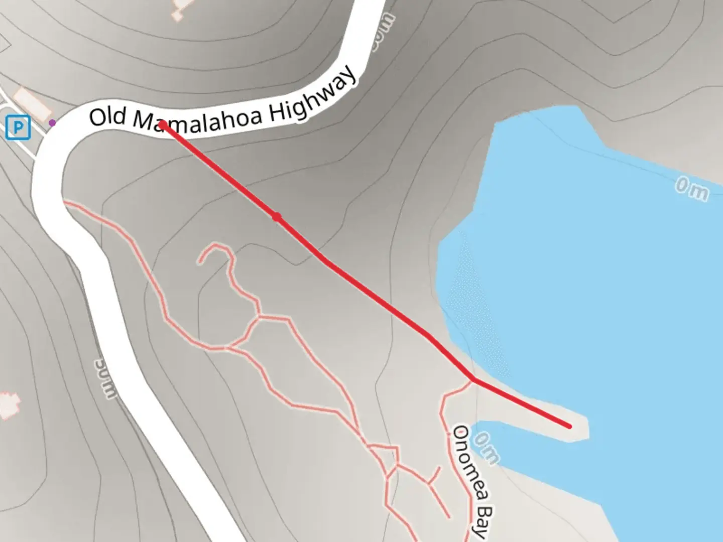 An image depicting the trail Onomea Bay and its surrounding area.