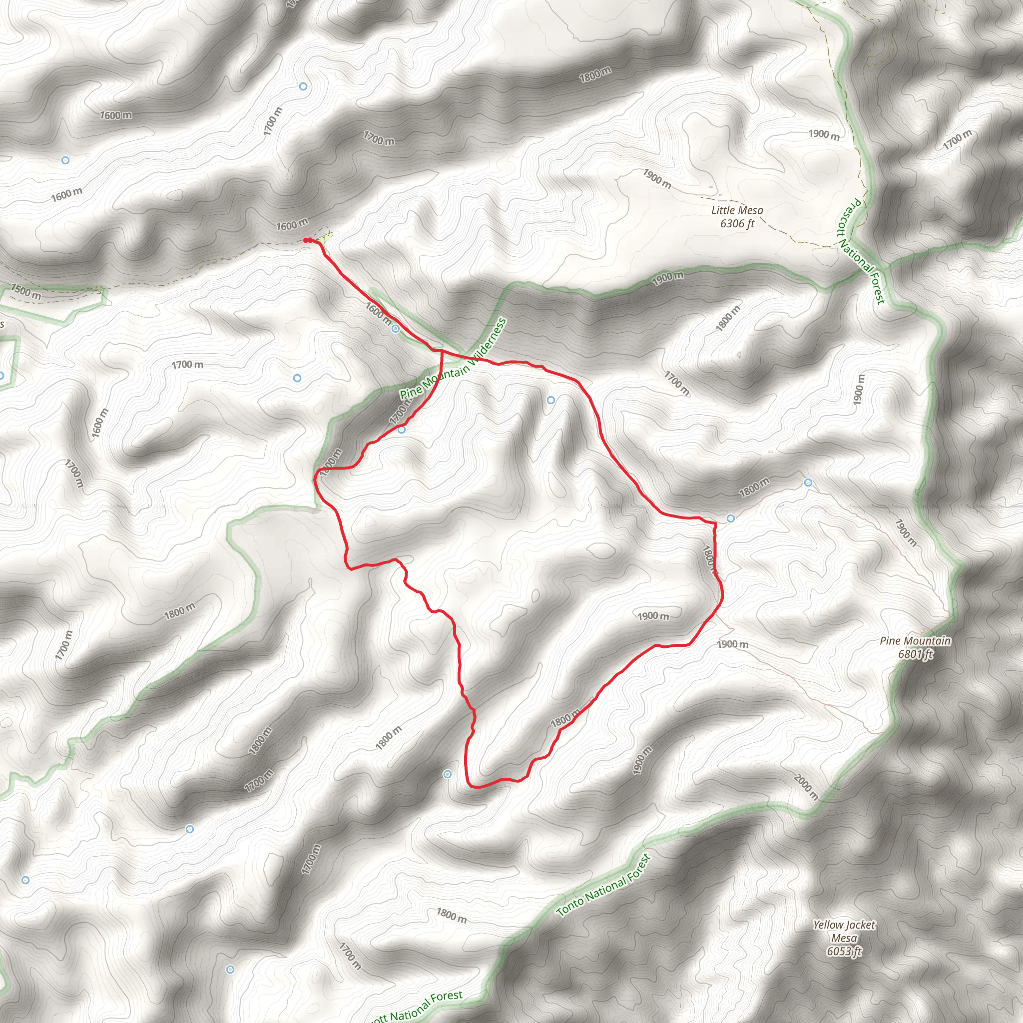 Short cut and Nelson via Pine Flat Loop Trail mobile static map