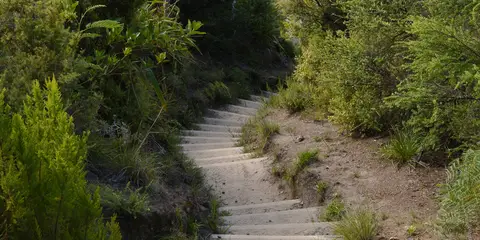 An image depicting the trail Nga Tapuwae o Toi and Kohi Point Walkway Loop and its surrounding area.