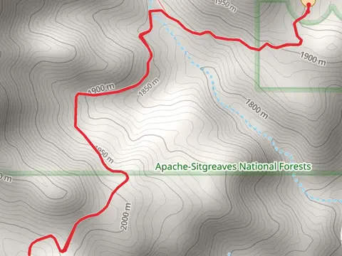 Cotton Tank via Painted Bluff