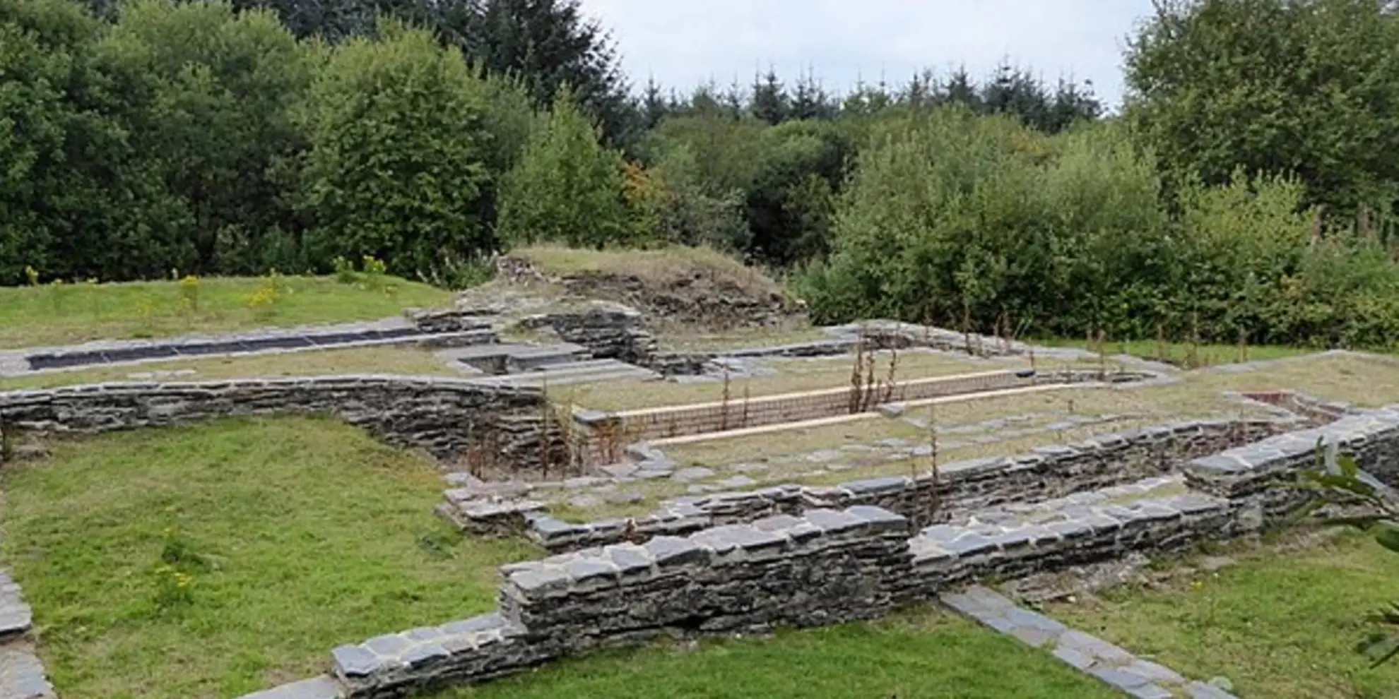 An image depicting the trail Bearland Wood and the Old Mineral Railway and its surrounding area.