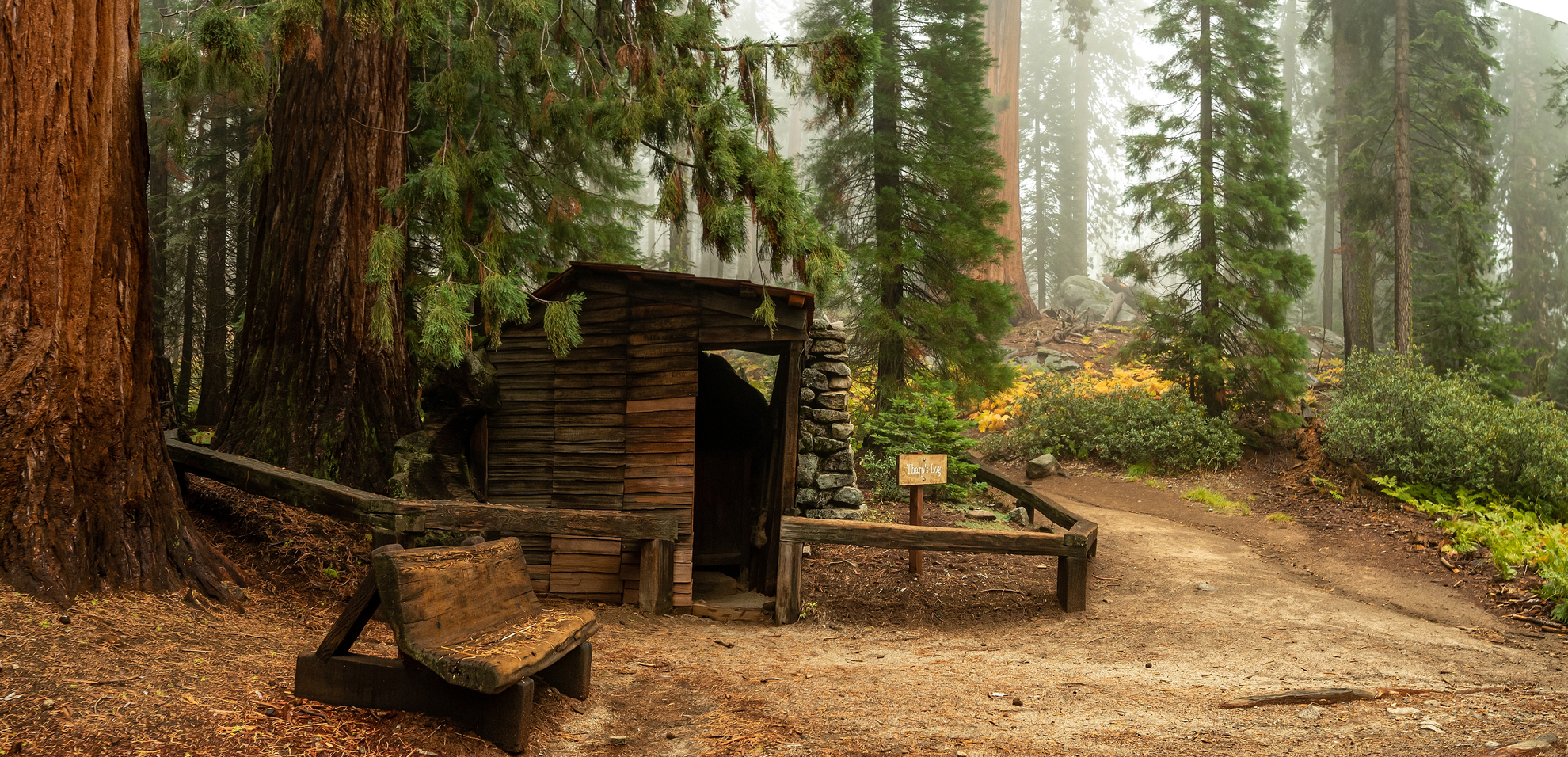An image depicting the trail Sherman Tree, Congress and Washington Tree Loop Trail and its surrounding area.