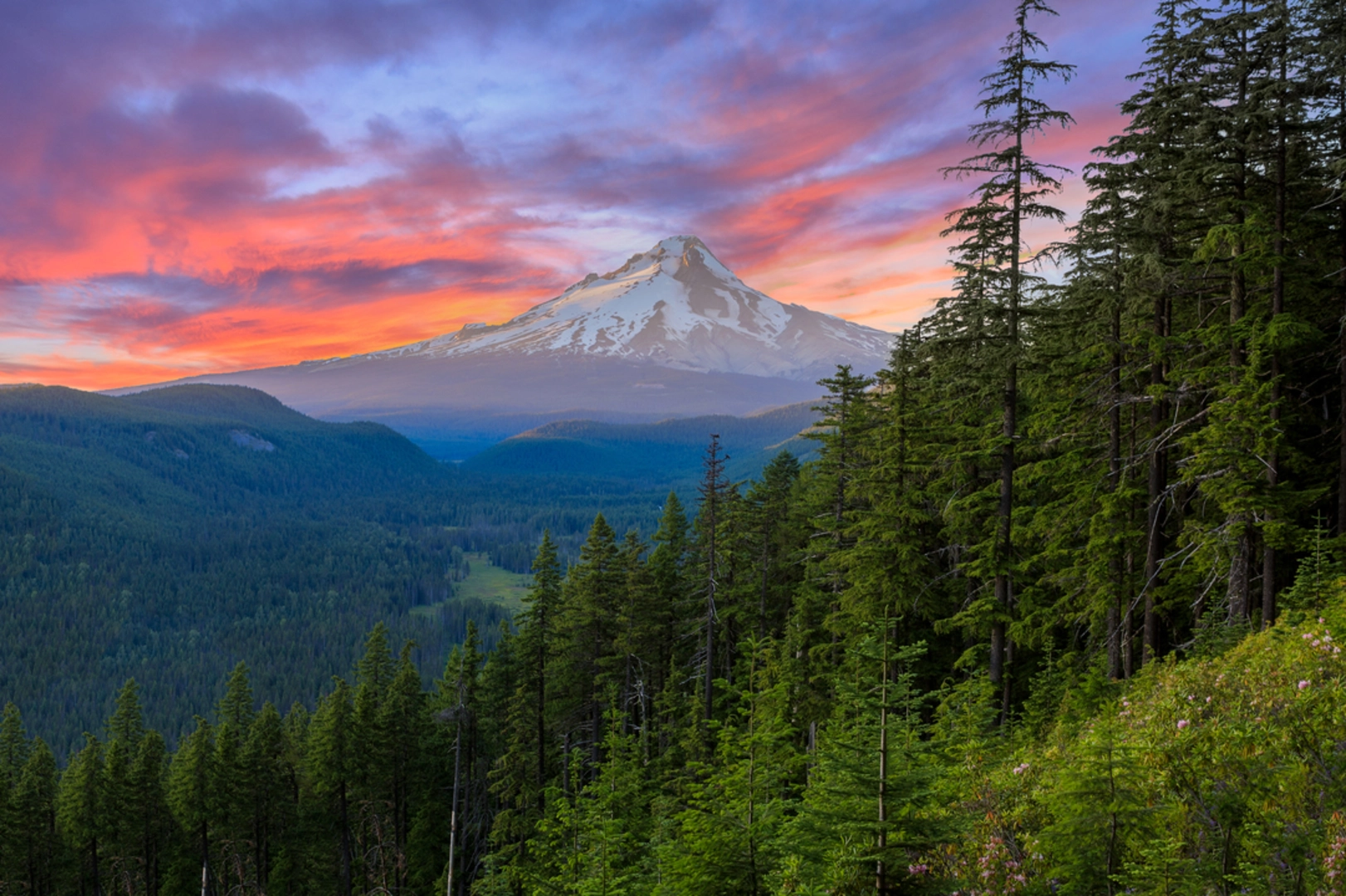 An image depicting the trail McNeil Point via Mount Hood Timerline Trail and its surrounding area.