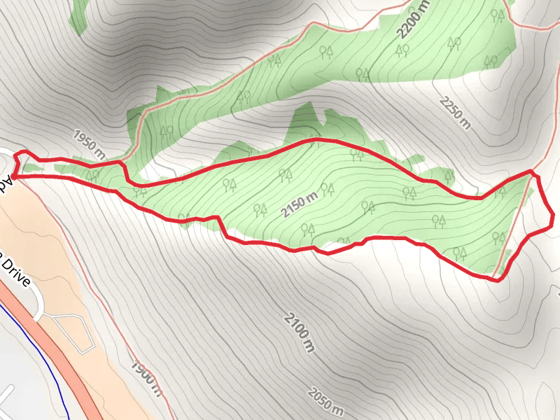 Smith Canyon Loop