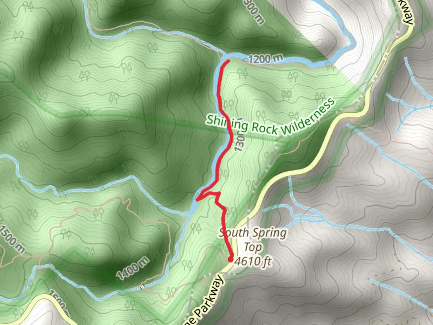 An image depicting the trail Greasy Cove Prong via Bridges Camp Gap Trail and its surrounding area.