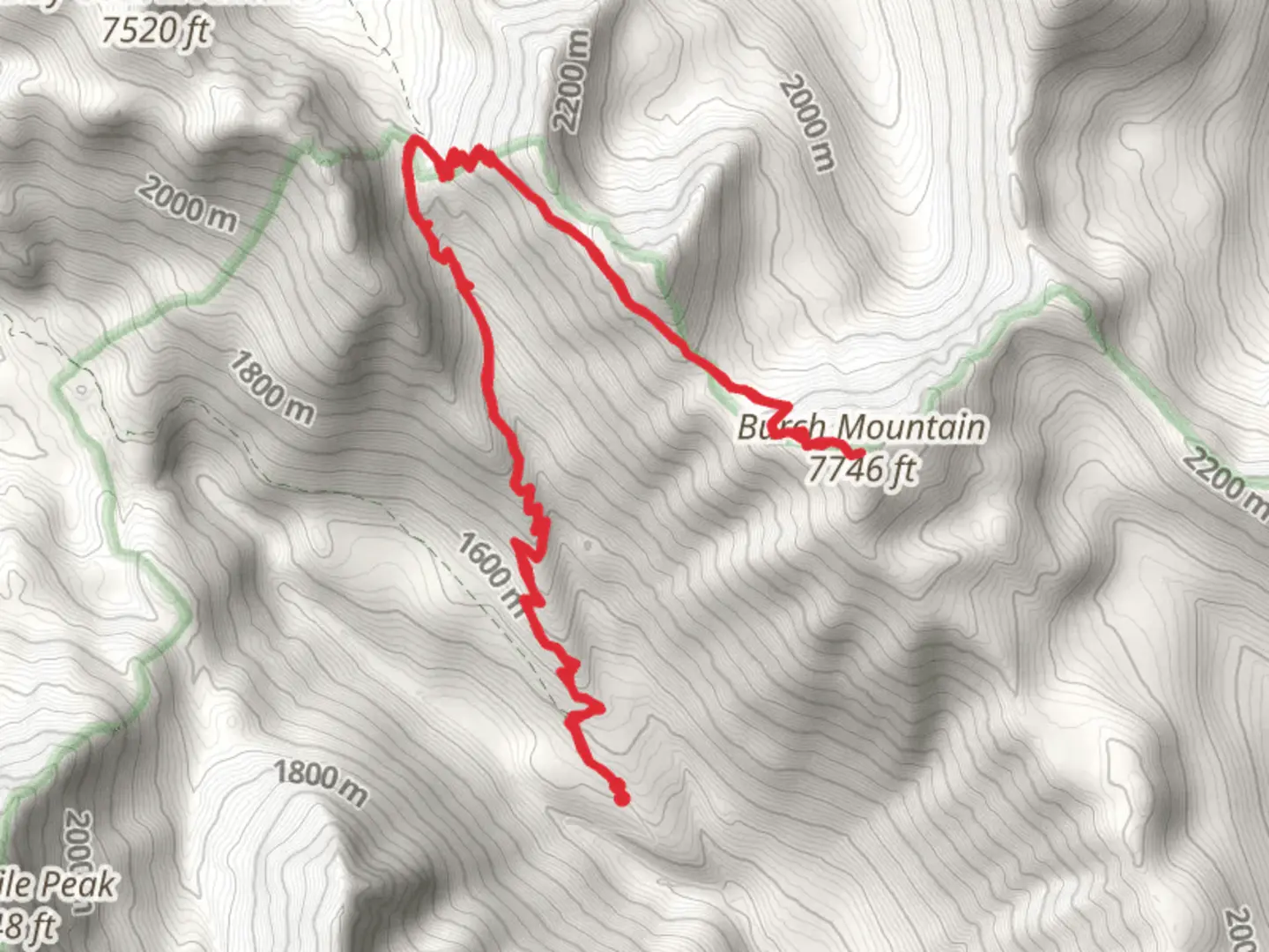 An image depicting the trail Burch Mountain Trail and its surrounding area.