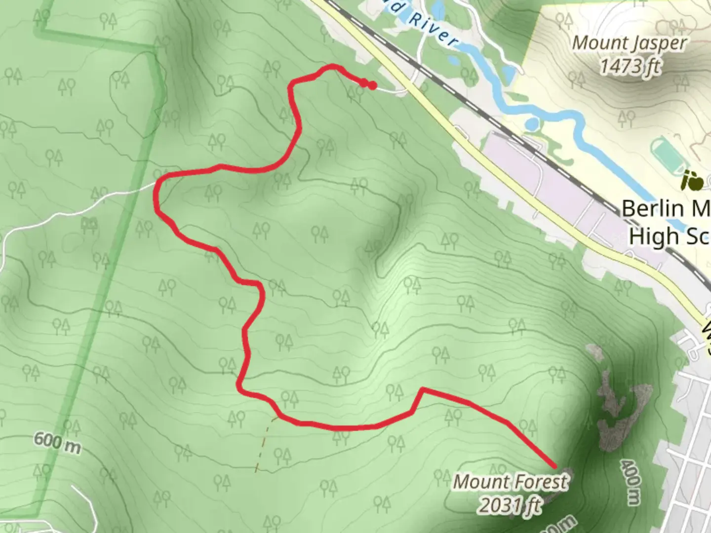An image depicting the trail Mount Forest Trail and its surrounding area.