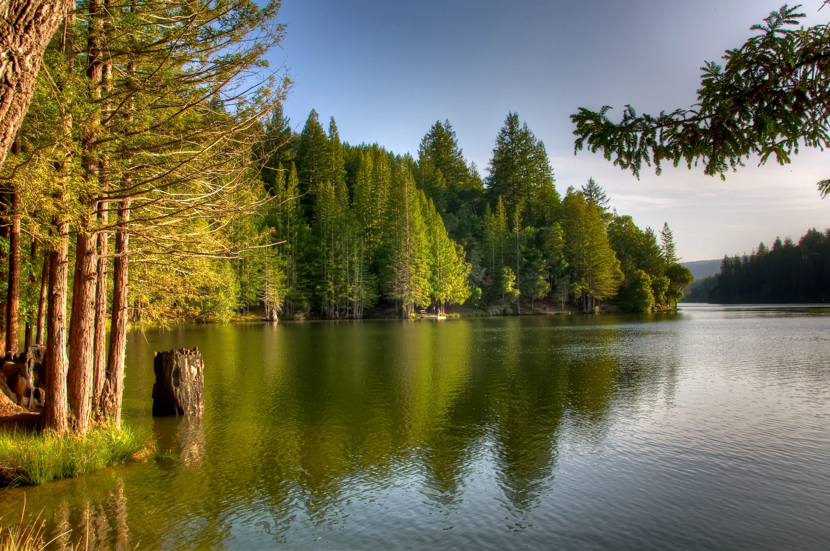 An image depicting the trail Loch Lomond Way Loop and its surrounding area.