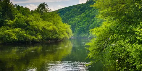 An image depicting the trail Lehigh Gorge Trail and its surrounding area.