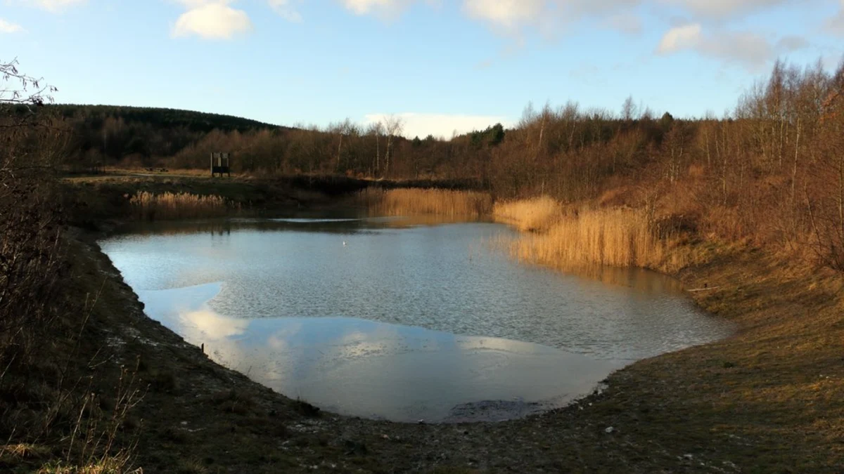 Silverhill Wood Walk