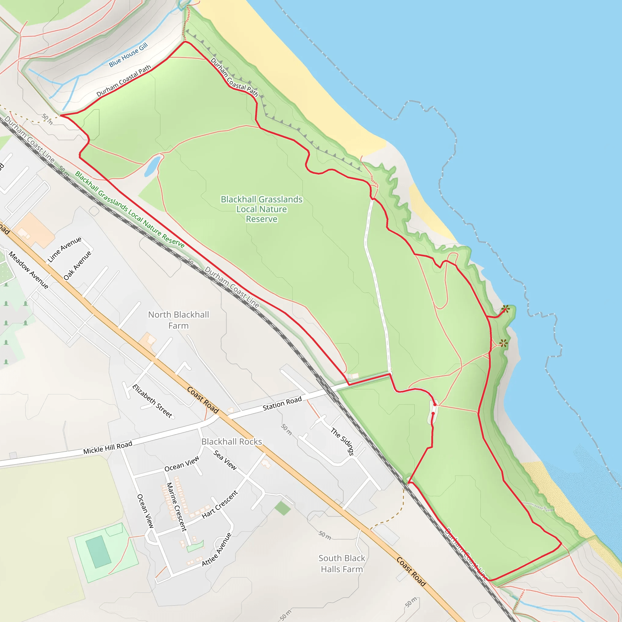 Blackhall Grasslands Local Nature Reserve Loop mobile static map