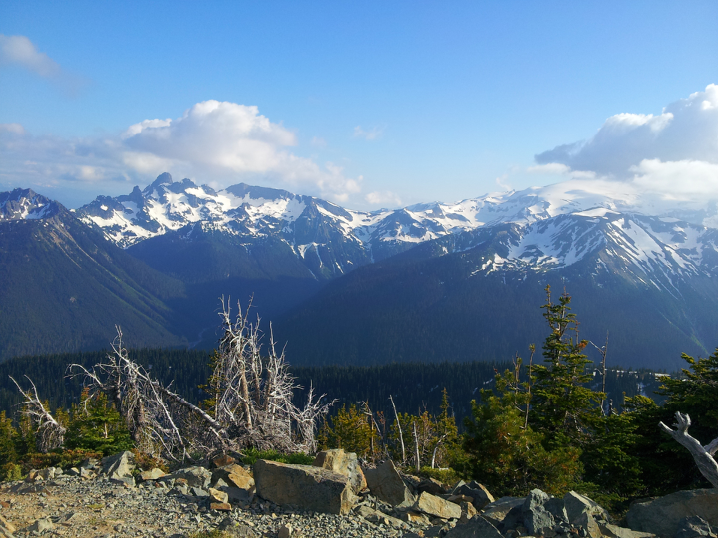 An image depicting the trail Palisades Lakes Trail and its surrounding area.