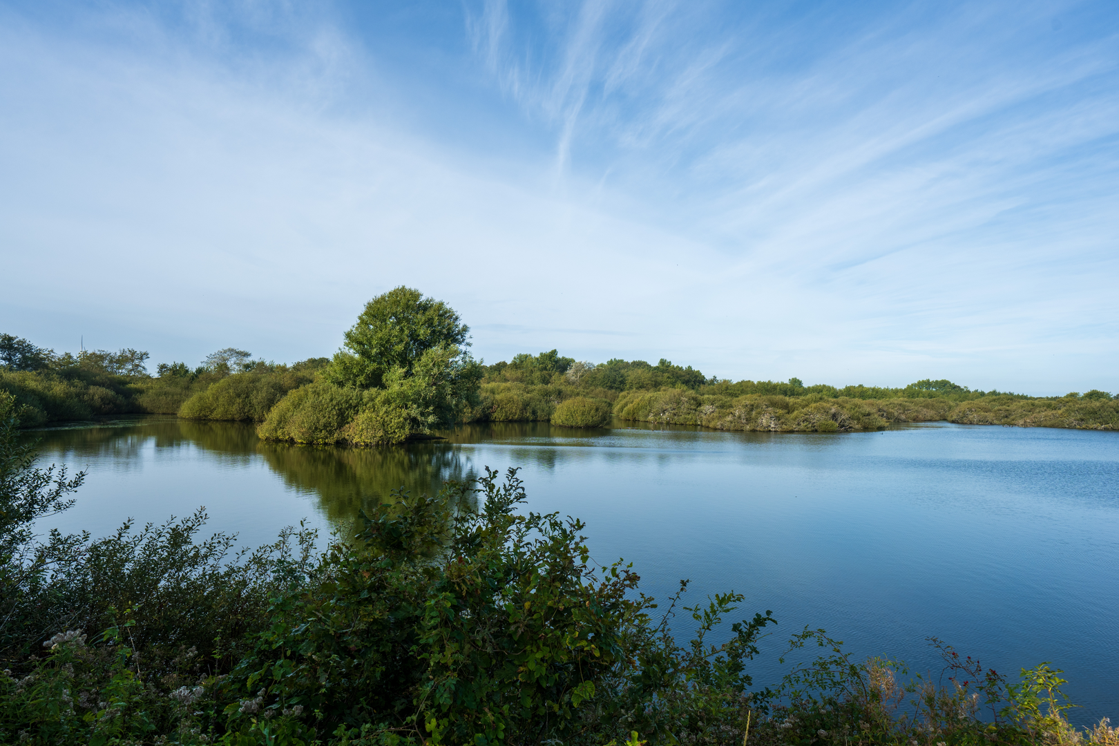 An image depicting the trail Houten Paardjes, Kakelenburg and Quackjeswater Loop and its surrounding area.