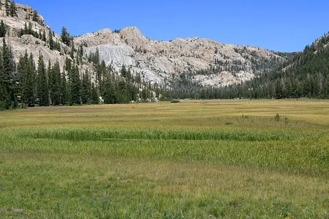 An image depicting the trail High Emigrant Lake and Maxwell Lake via Horse Meadow Trail and its surrounding area.