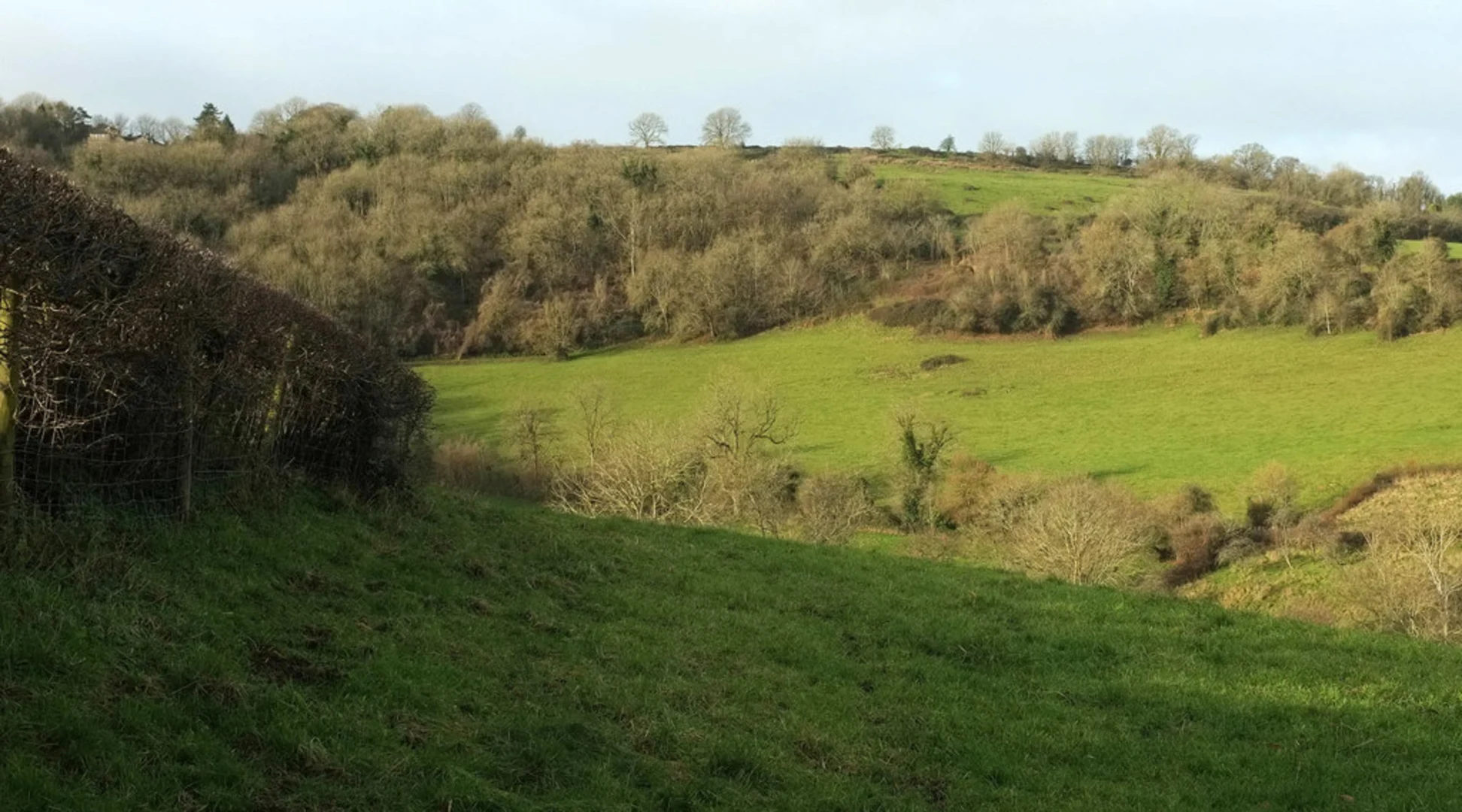 An image depicting the trail Charlcombe Country Park Loop and its surrounding area.