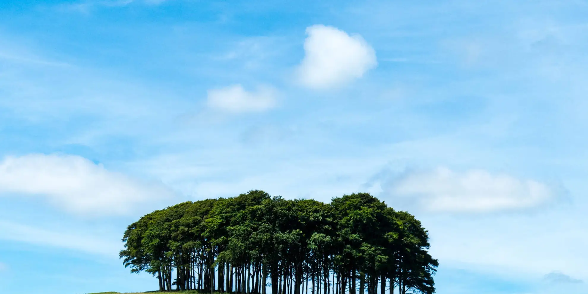 An image depicting the trail Lifton Link via Tamar Valley Discovery Trail and its surrounding area.