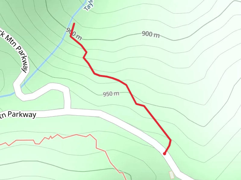 Taylor Creek from Trading Post Road