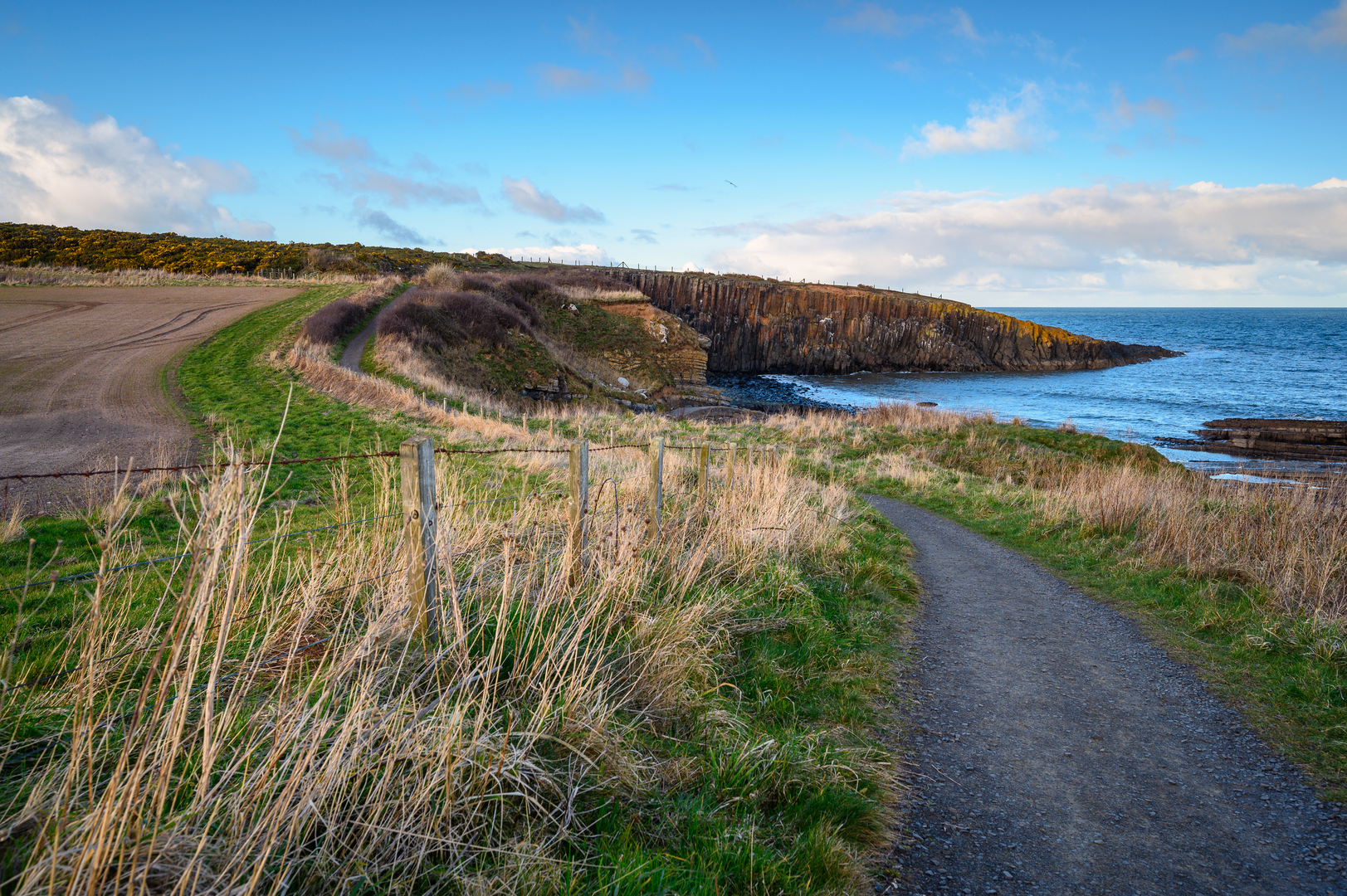 An image depicting the trail Howick and Cullernose Point from Craster and its surrounding area.