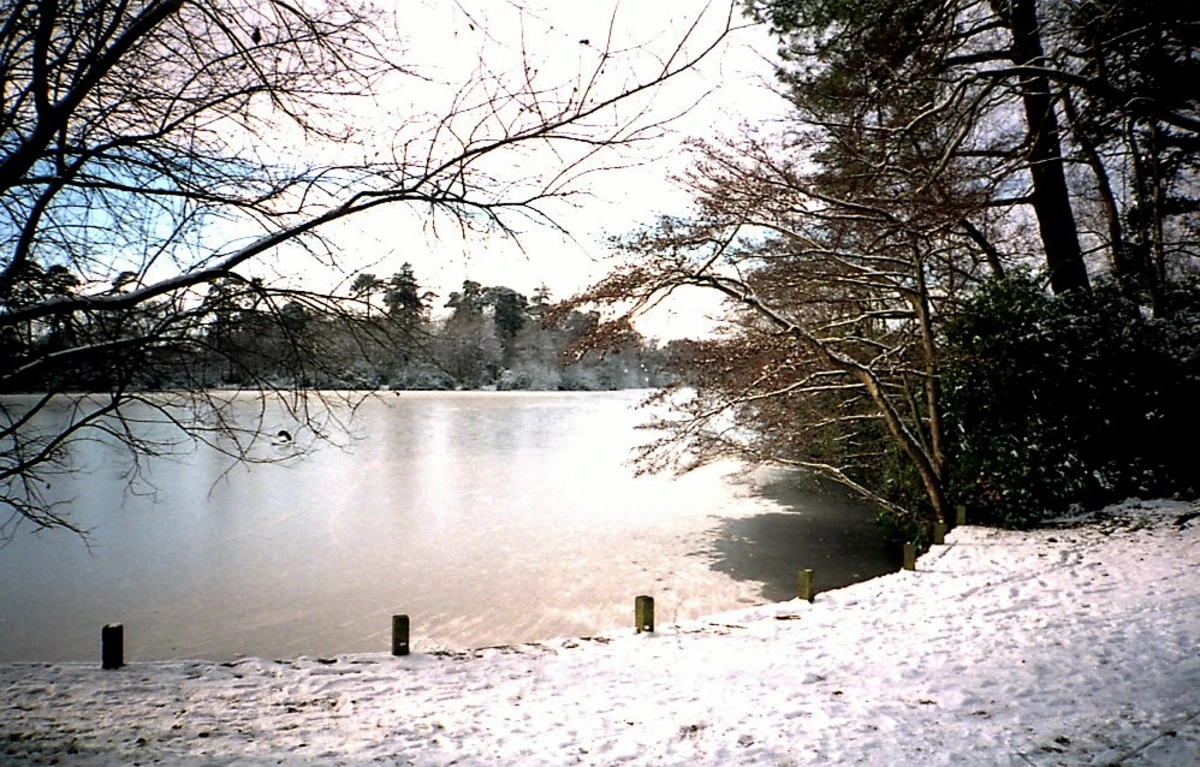 Highwood Local Nature Reserve and South Lake Park Loop