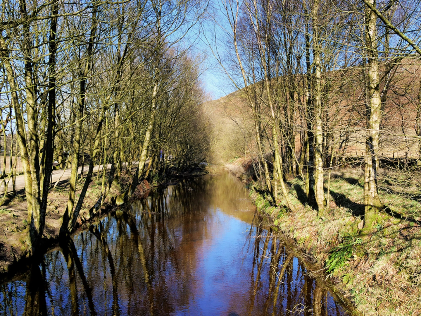 An image depicting the trail White Coppice and its surrounding area.