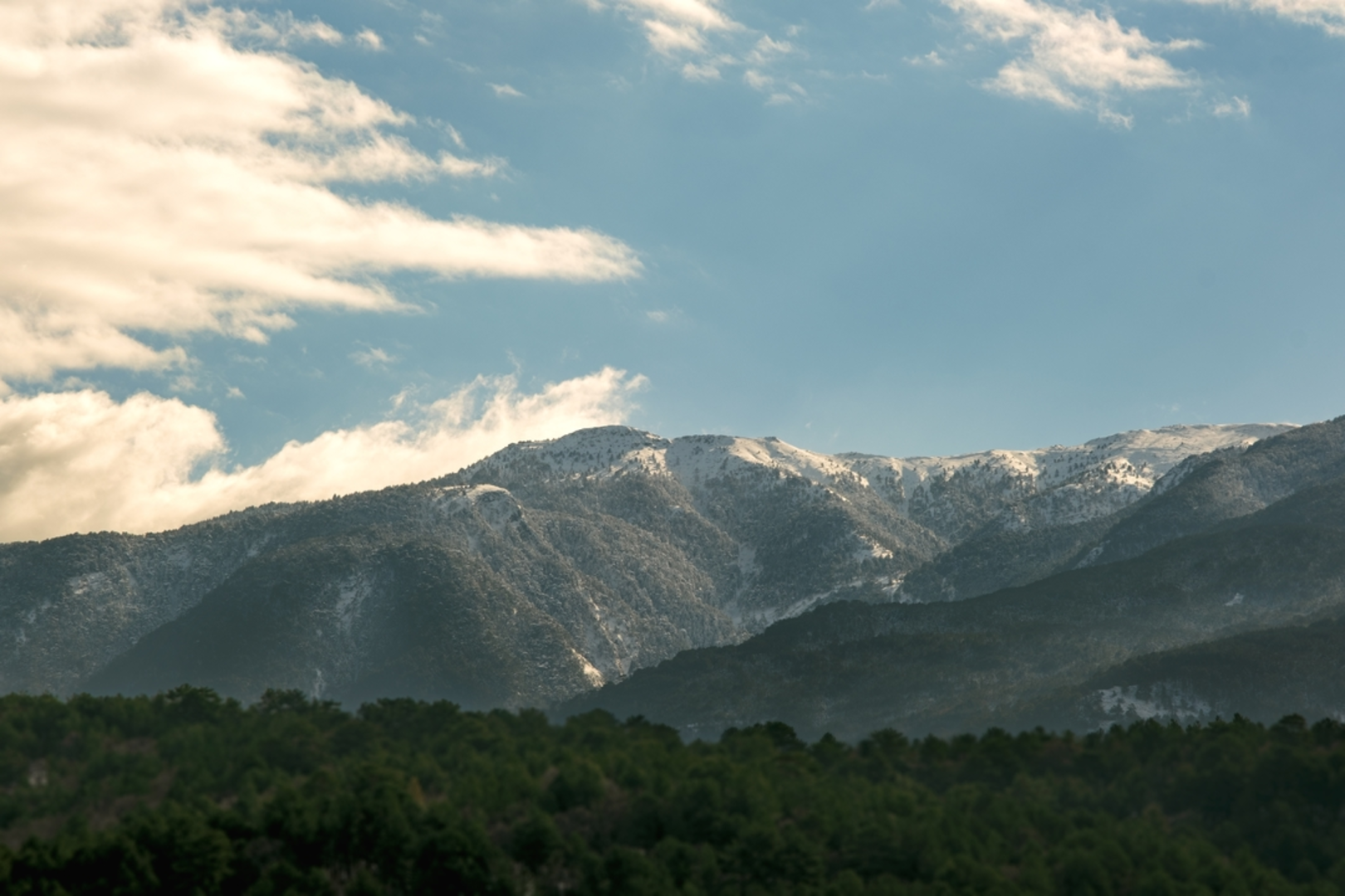 An image depicting the trail Mount Ida Trail and its surrounding area.