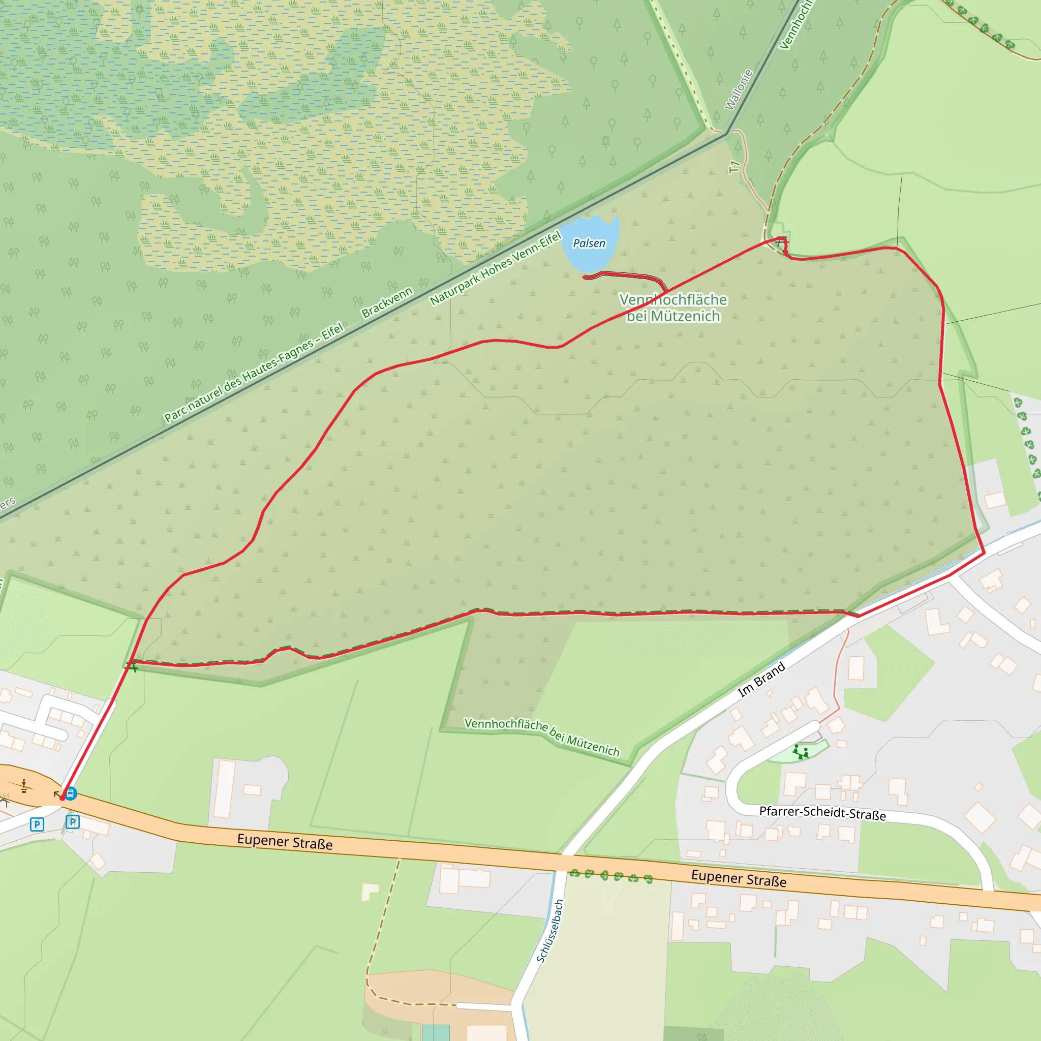 Palsen, Baumtelefon and Vennhochfläche bei Mützenich Loop via Moor Route mobile static map