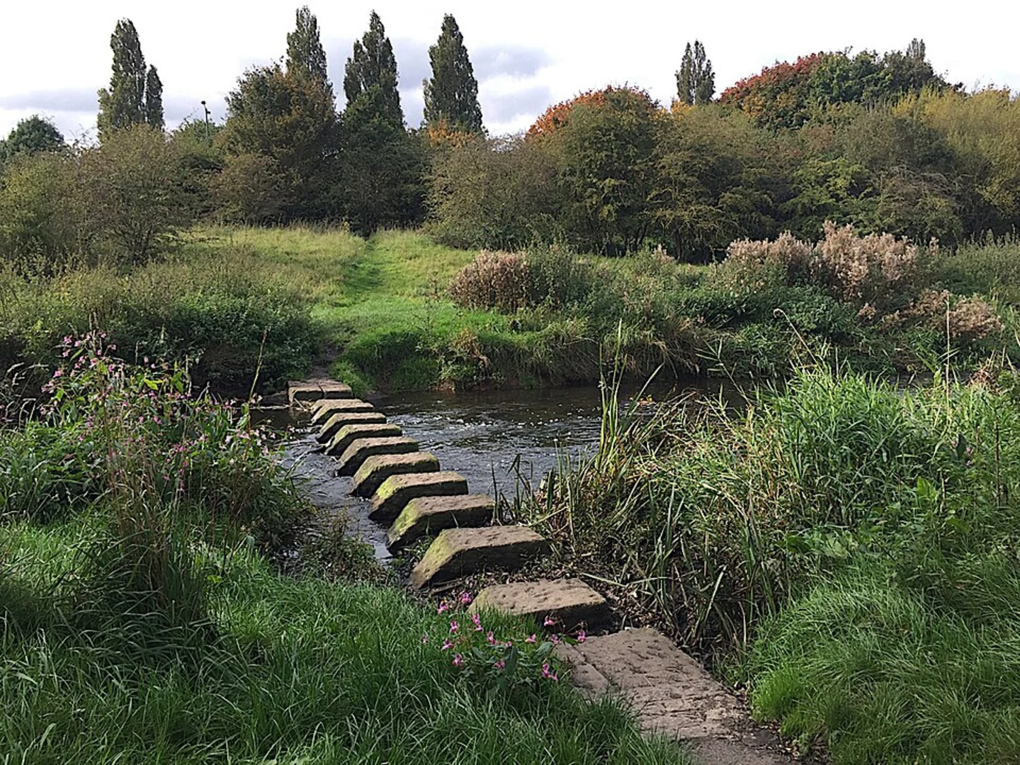An image depicting the trail Cole Bank Park Local Nature Reserve Loop and its surrounding area.