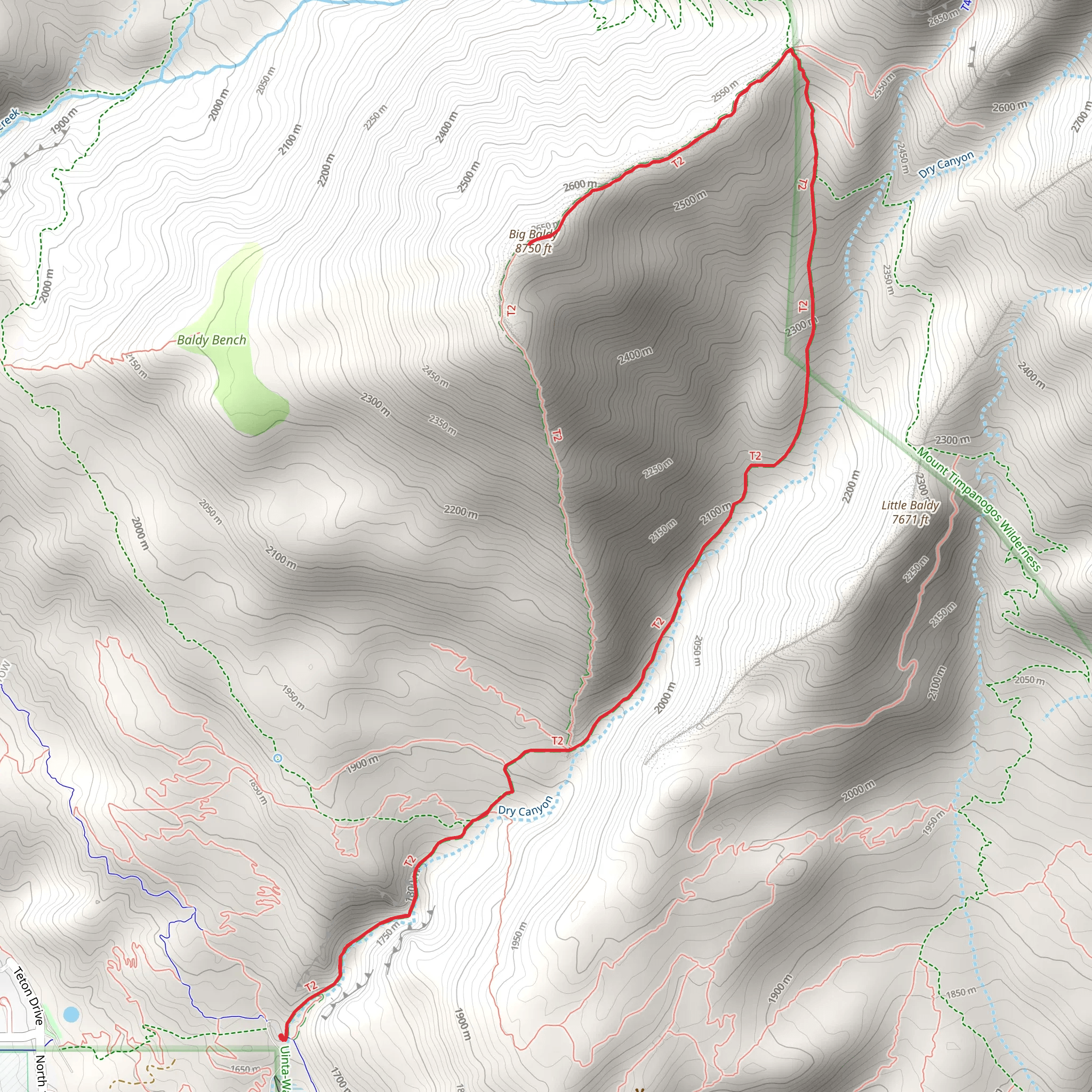 Big Baldy via Dry Canyon Trail mobile static map