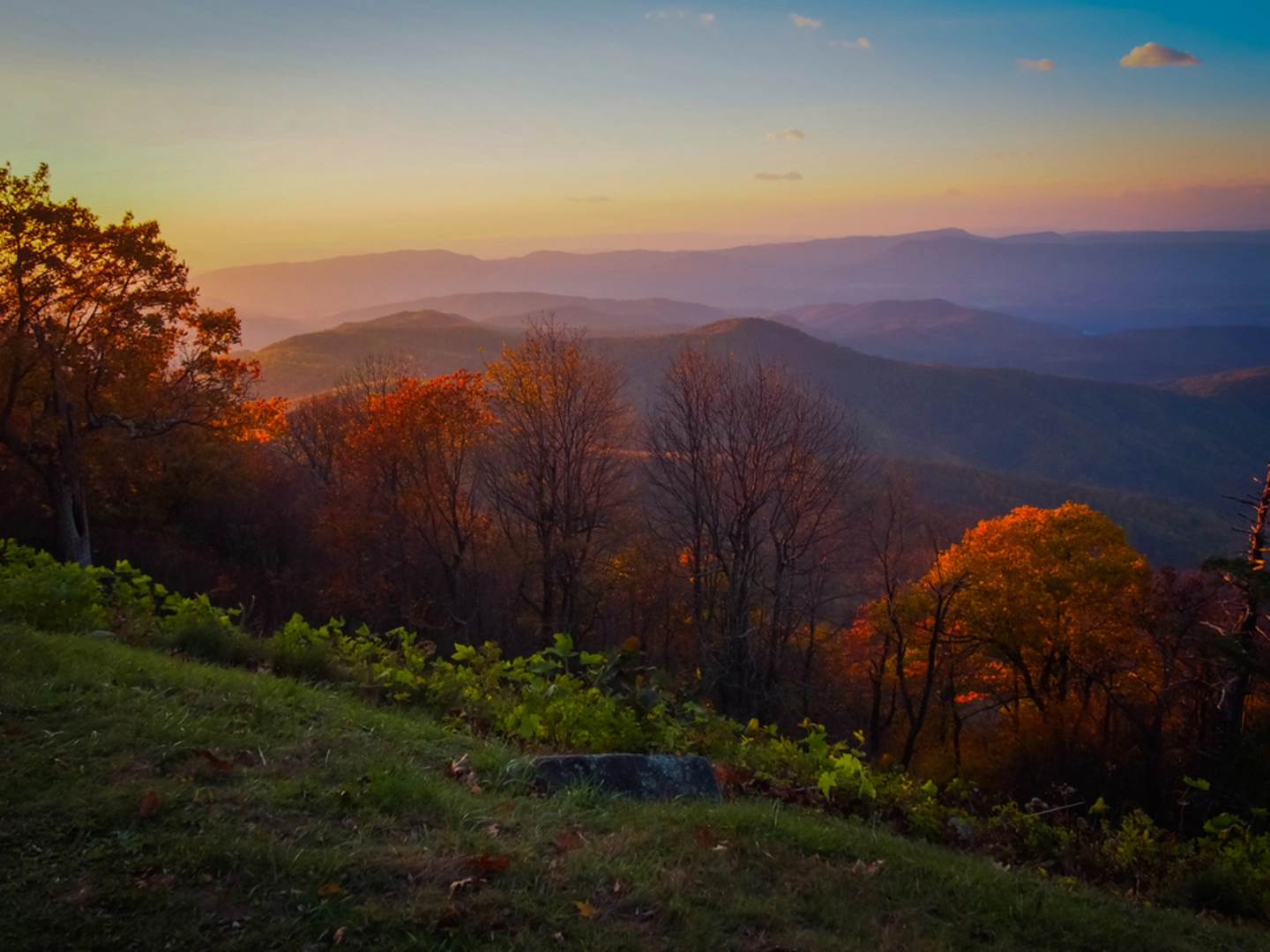 An image depicting the trail Hunting Creek Trail and its surrounding area.