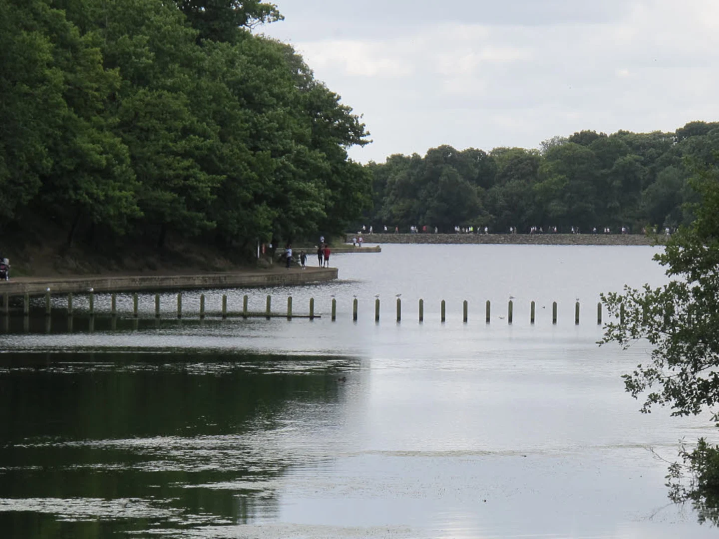 An image depicting the trail Roundhay Park, Roundhay Castle and Waterloo Lake Loop and its surrounding area.