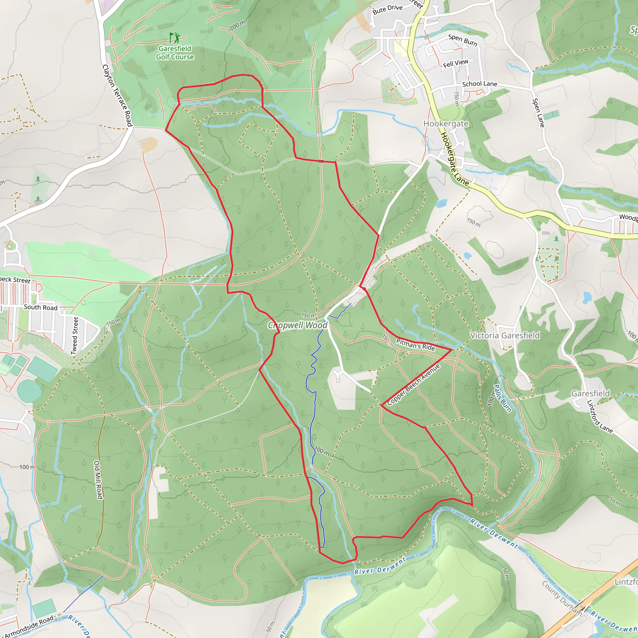 Chopwell Plantations Loop mobile static map