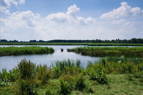 De Dellen, Wezepsche Heide, De Wieden and Mastenbroek Loop