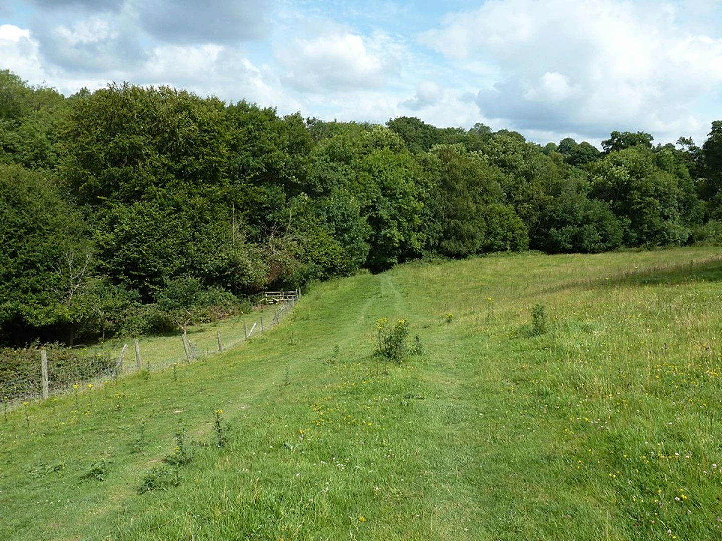 An image depicting the trail Cuckfield and Ansty Circular Walk and its surrounding area.