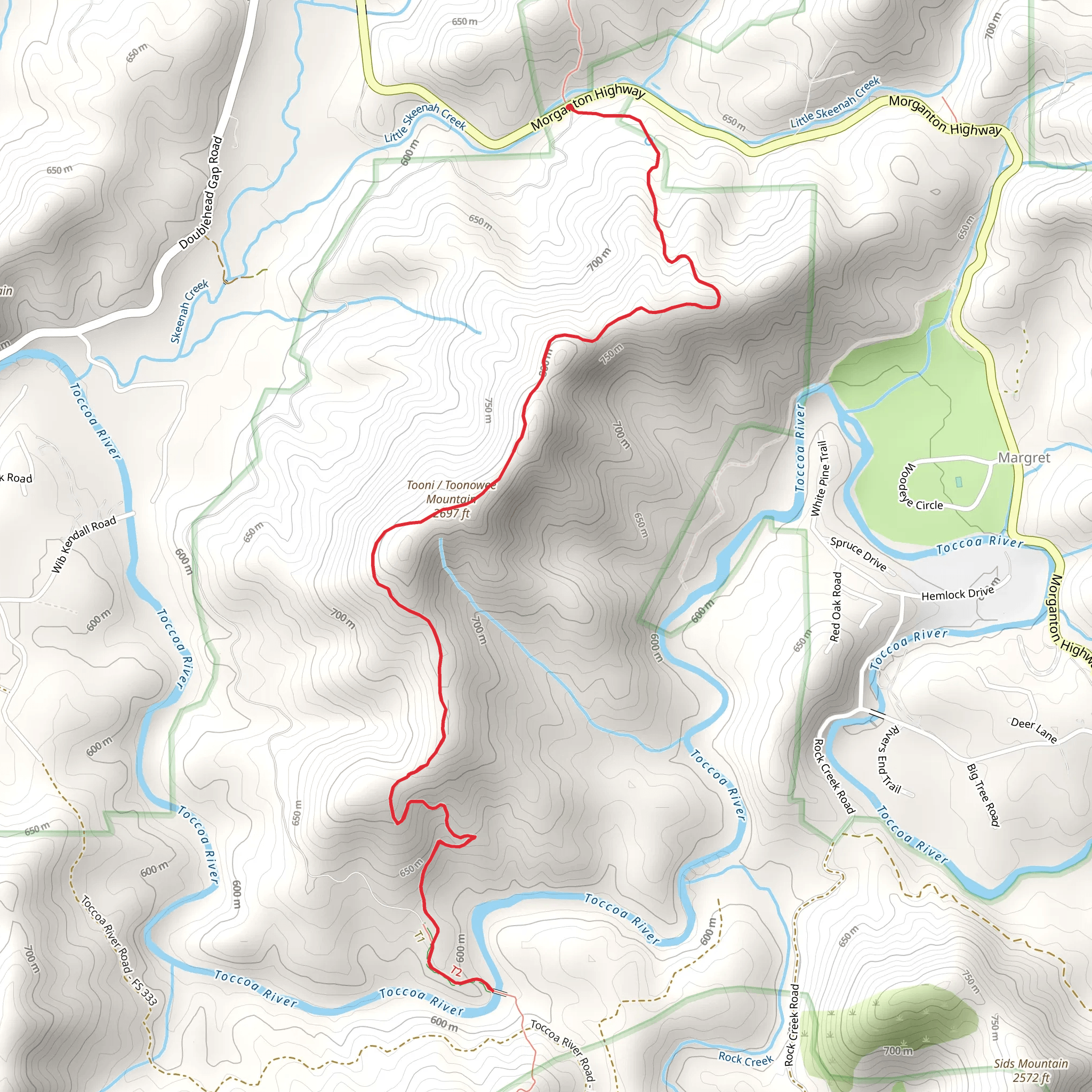 Tooni Mountain via Benton MacKaye Trail mobile static map