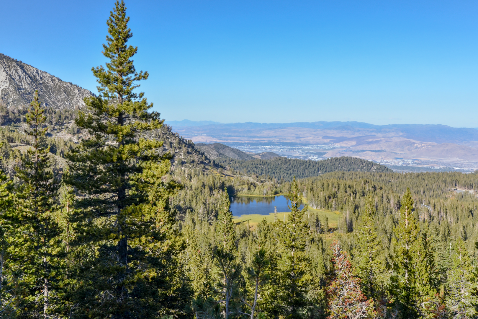An image depicting the trail Tamarack Connection and Water System Road and its surrounding area.