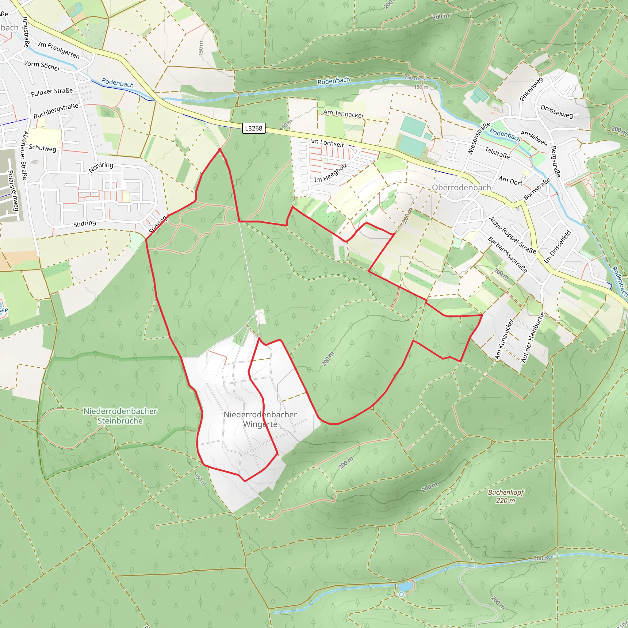 Rodenbach - Rundwanderweg Eule mobile static map