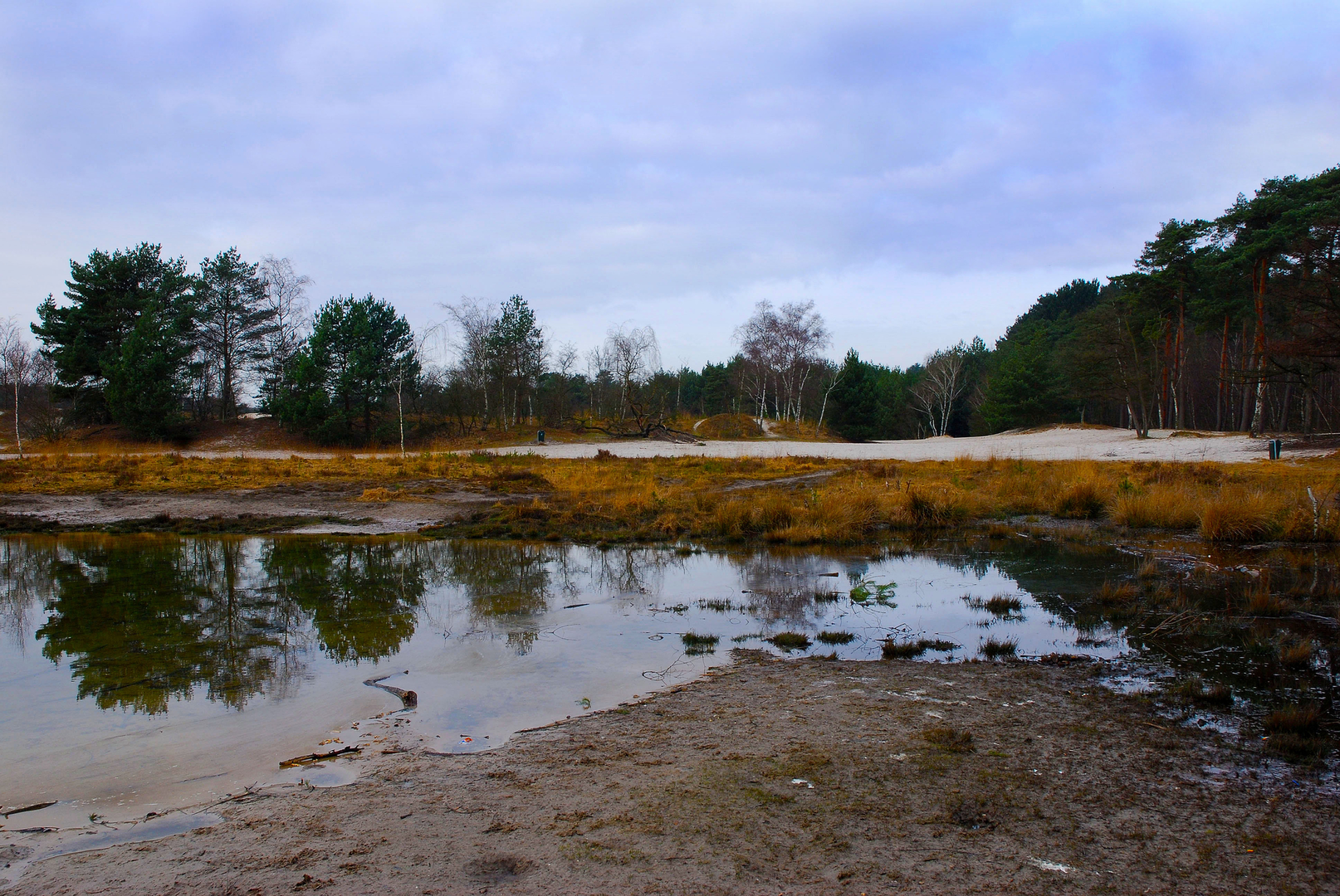 An image depicting the trail Brunssummerheide, Landgraaf and Groeve Sigrano Loop and its surrounding area.