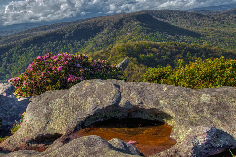 An image depicting the trail Spence Ridge Trail and its surrounding area.