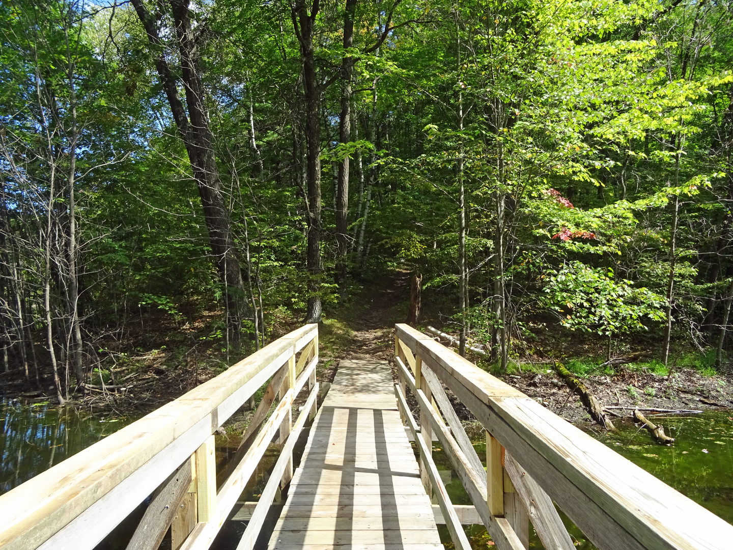 An image depicting the trail Ice Age National Scenic Trail - Chippewa Moraine and its surrounding area.