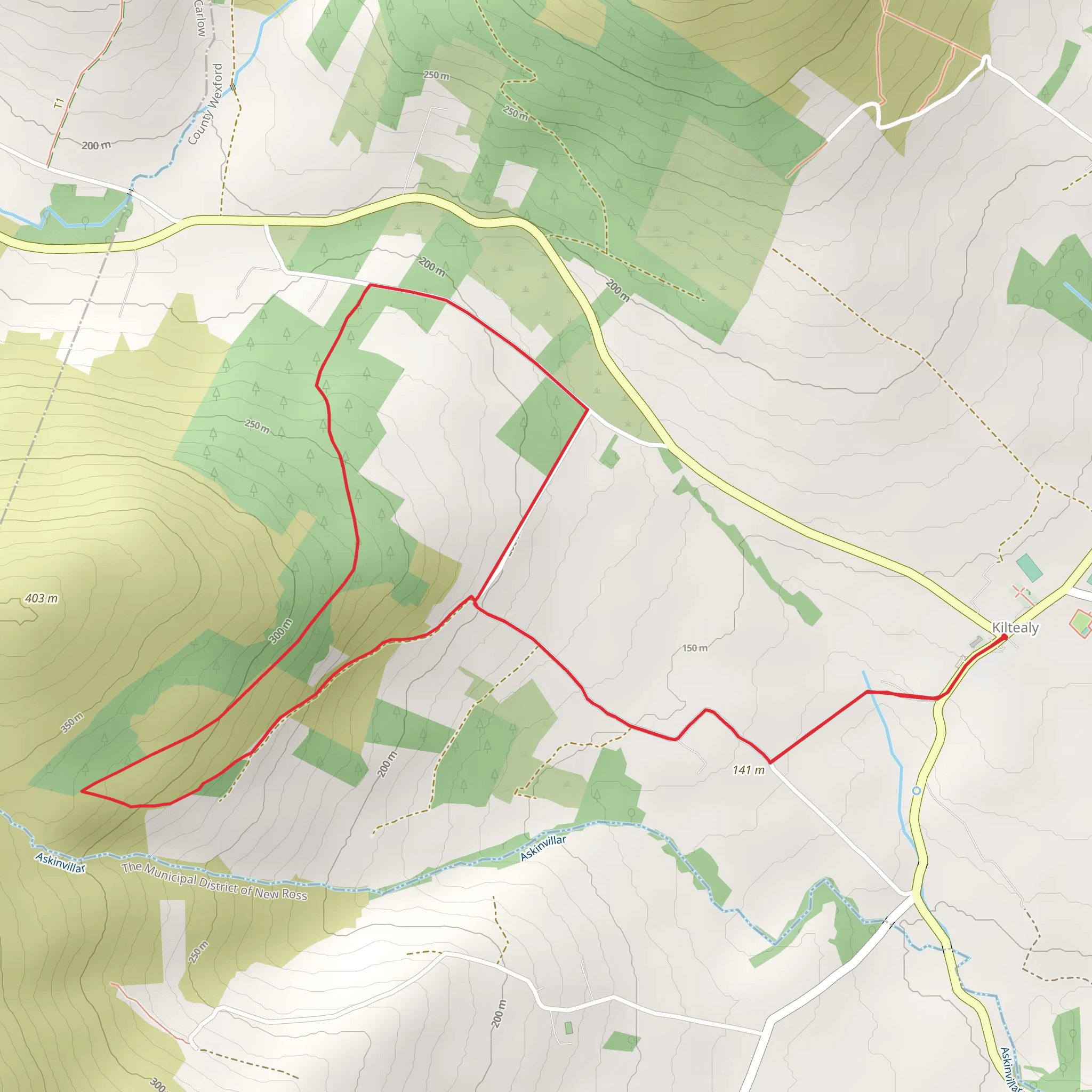 Kiltealy Cullentra Trail mobile static map