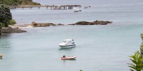 An image depicting the trail Tiritiri Matangi Island Loop and its surrounding area.