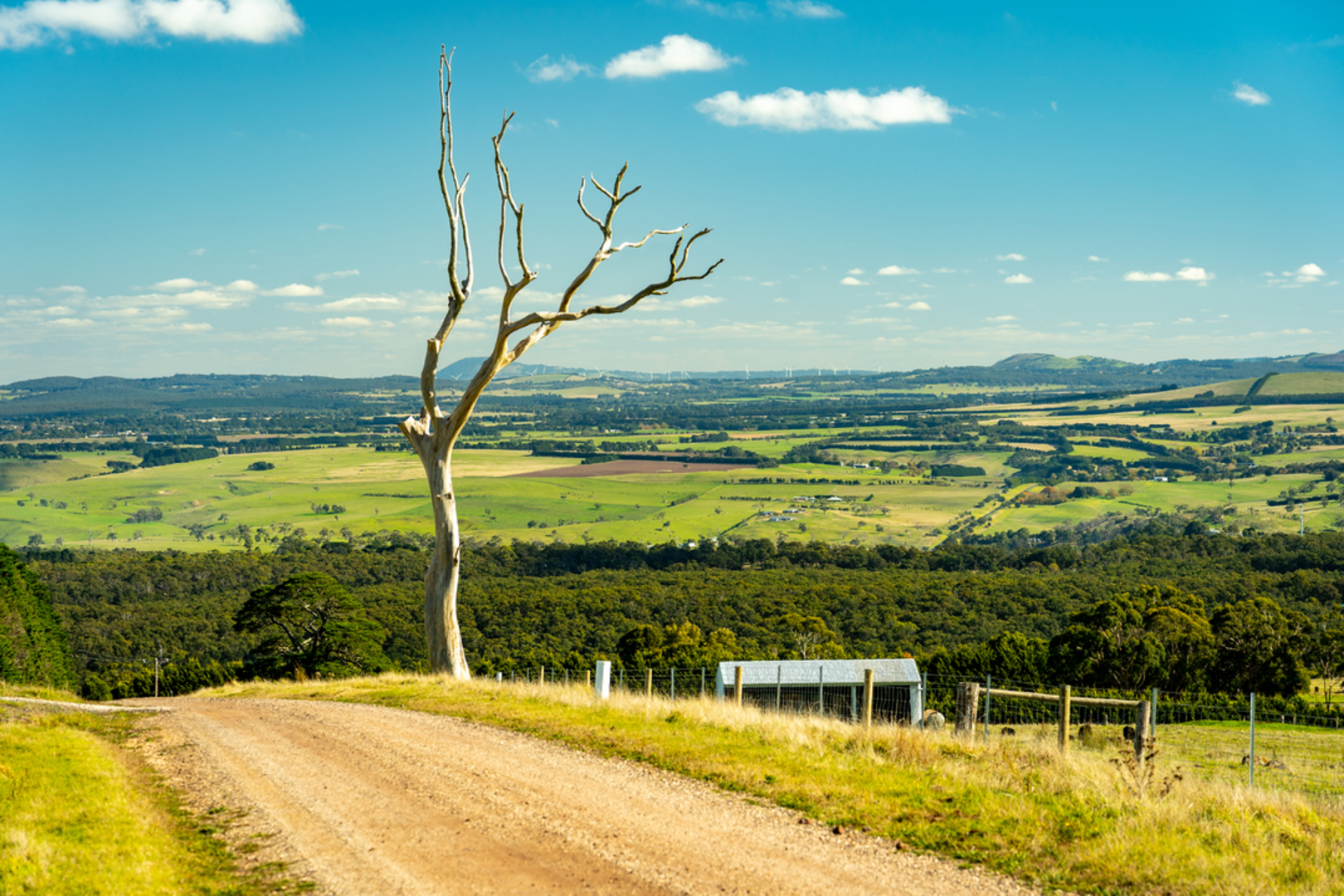 An image depicting the trail Lerderderg Old River Circuit and its surrounding area.