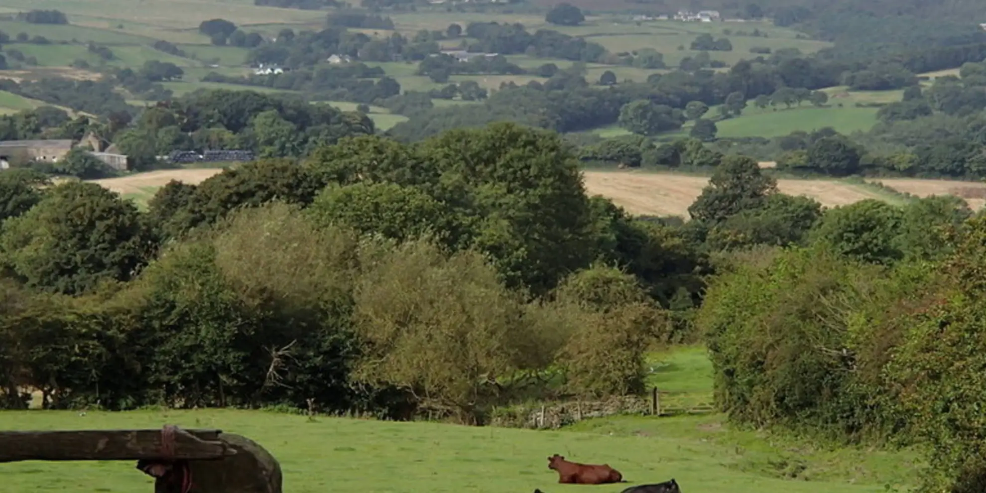 An image depicting the trail Flask Edge from Dronfield Woodhouse and its surrounding area.