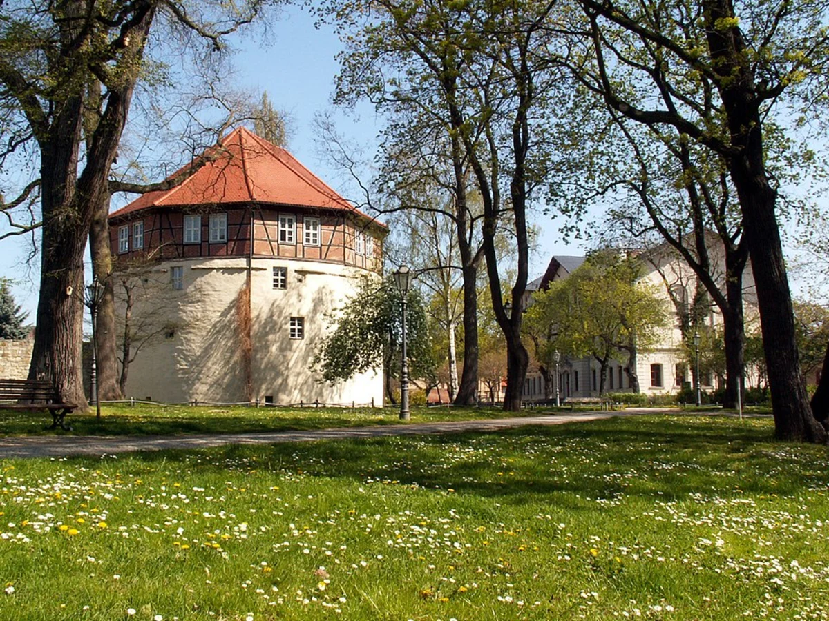 Wilhelm-Külz-Park Loop