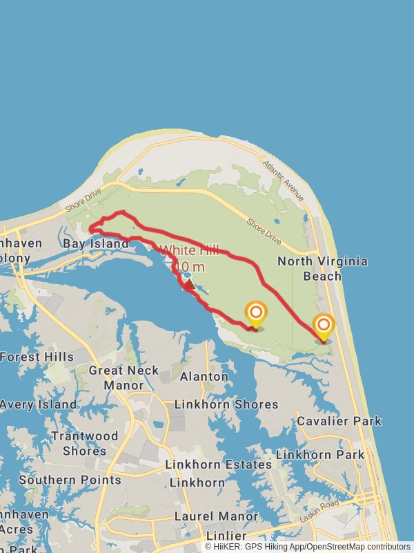 White Hill Loop via Osprey and Cape Henry Trail