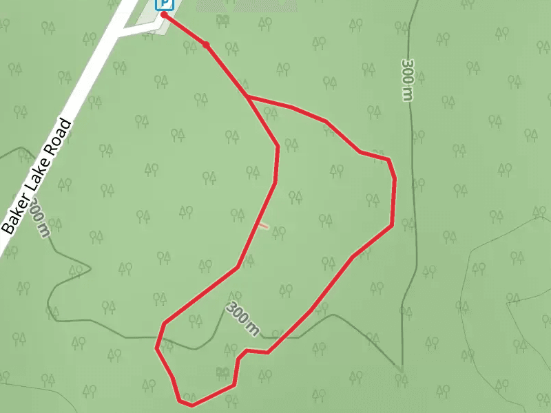 Shadow of the Sentinels Short Trail